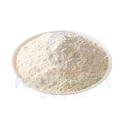 Garlic Powder 80-100 Mesh